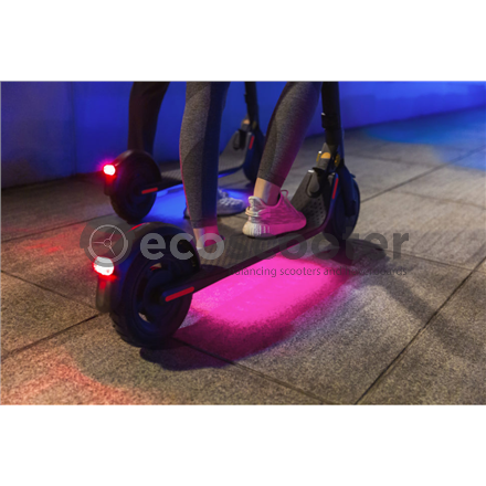 Ecoscooter-Ninebot-Segway-E25E-hall_3