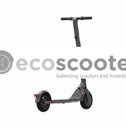 Ecoscooter-Ninebot-Segway-E25E-hall_5